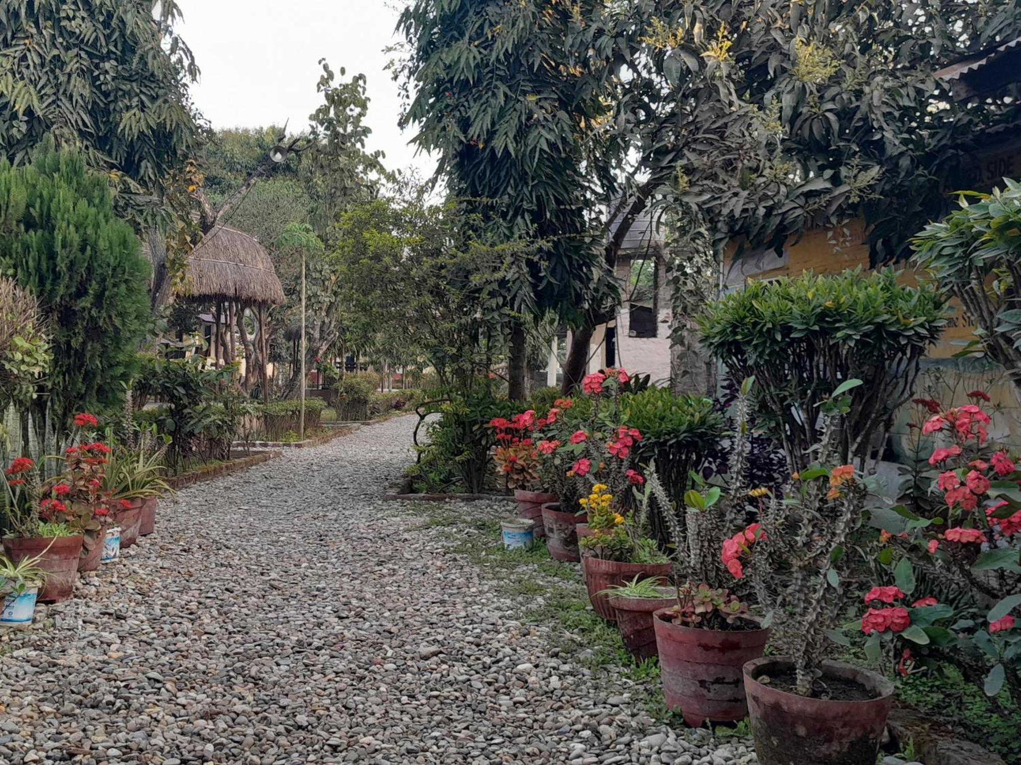 Crocodile Safari Camp Hotel Chitwan Exterior photo