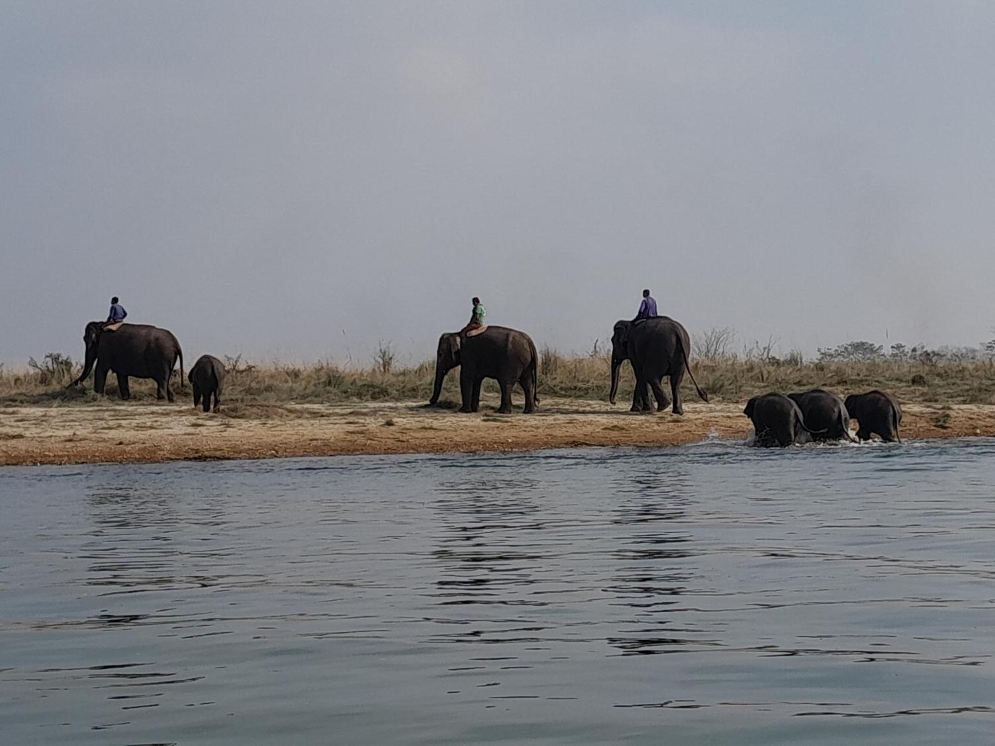 Crocodile Safari Camp Hotel Chitwan Exterior photo