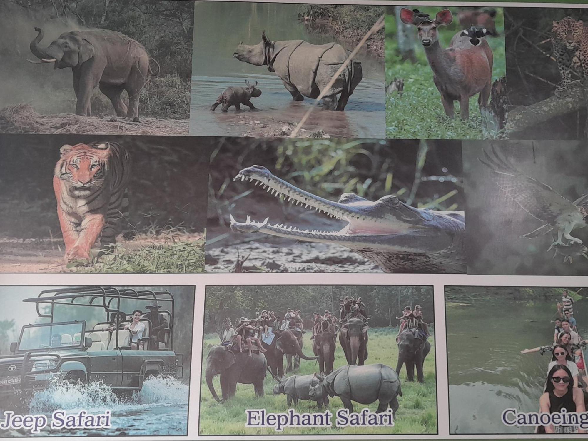 Crocodile Safari Camp Hotel Chitwan Exterior photo