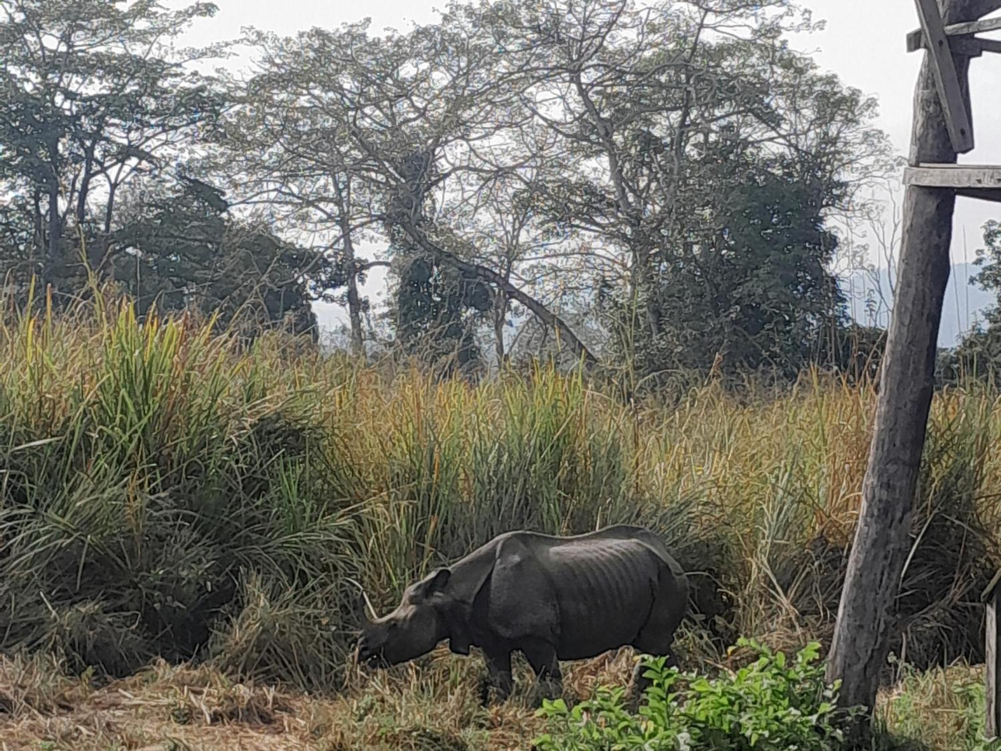 Crocodile Safari Camp Hotel Chitwan Exterior photo