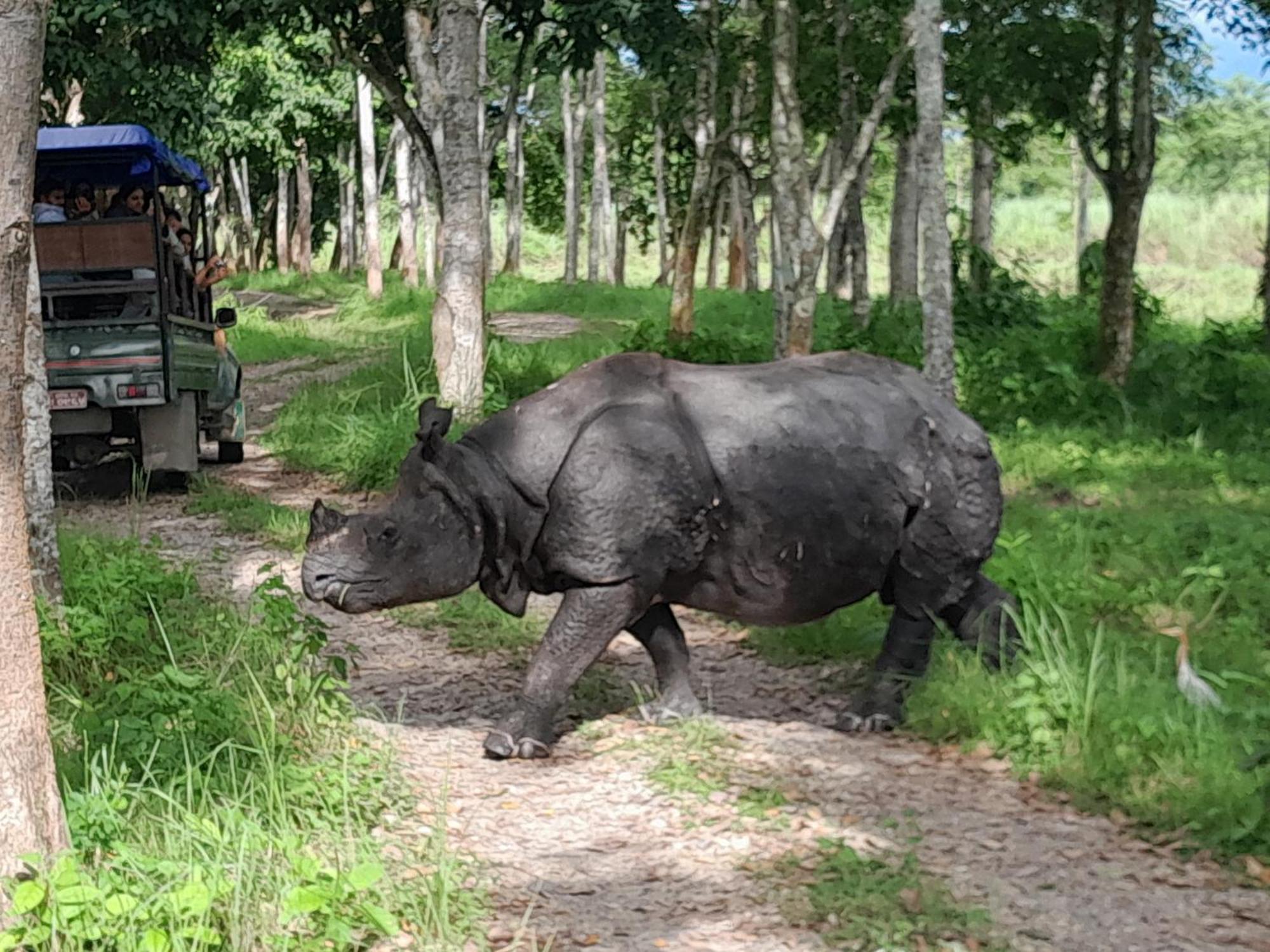 Crocodile Safari Camp Hotel Chitwan Exterior photo
