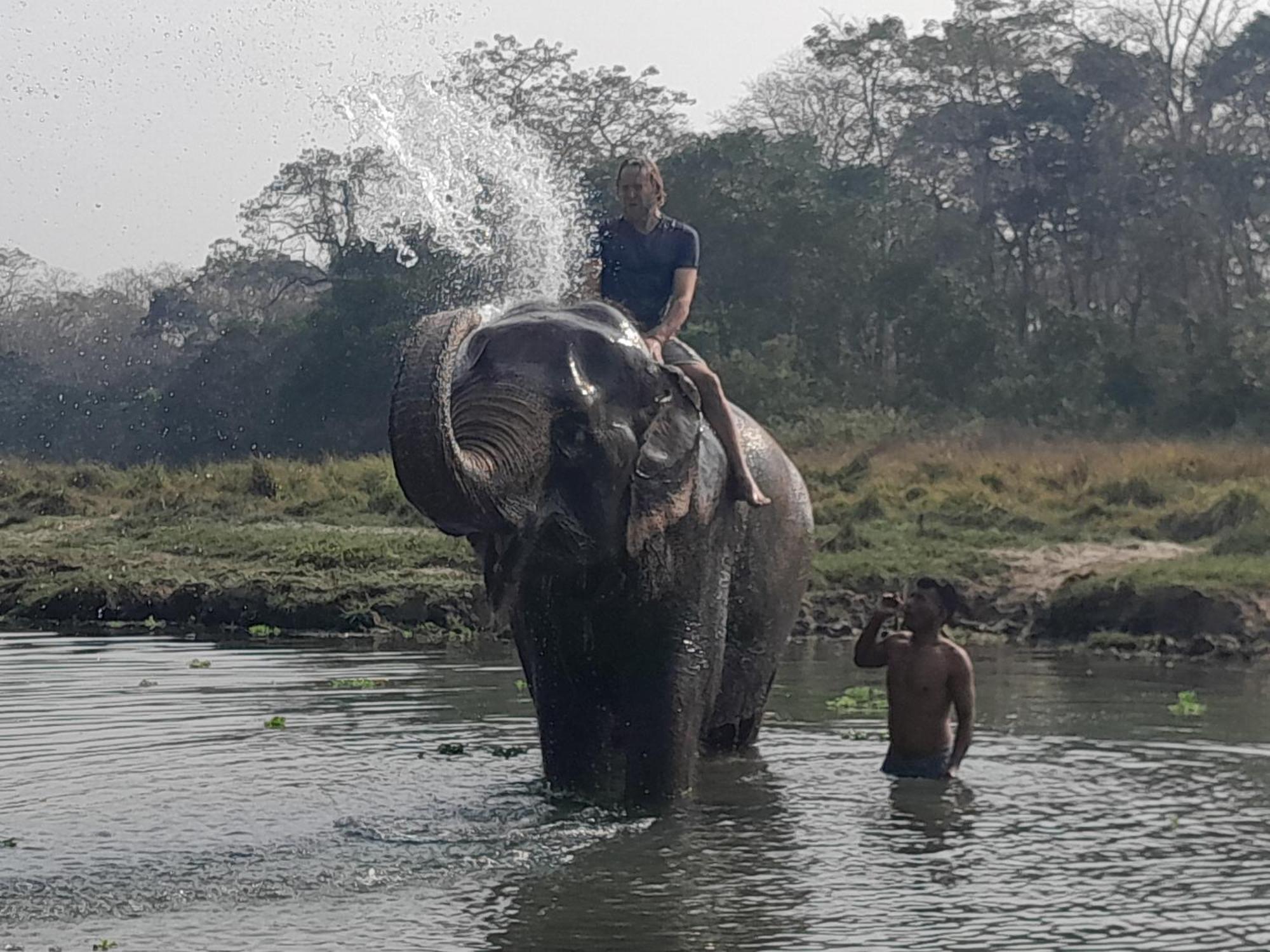 Crocodile Safari Camp Hotel Chitwan Exterior photo